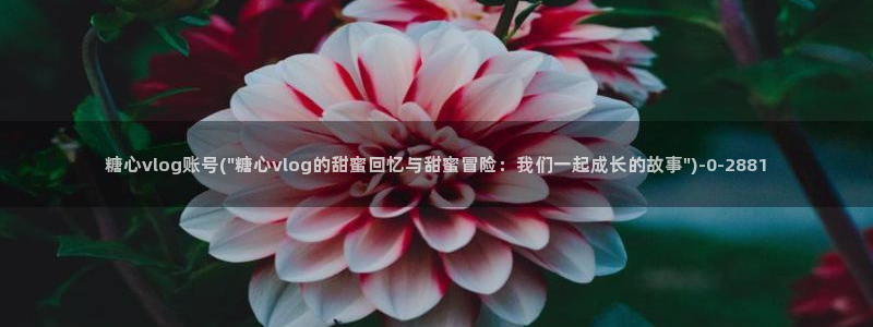  糖心vlog天美：糖心vlog账号(\