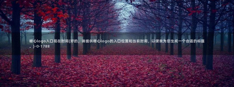 糖心短视频vlog