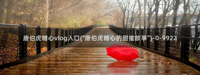  糖心官方vlog：唐伯虎糖心vlog入口(\