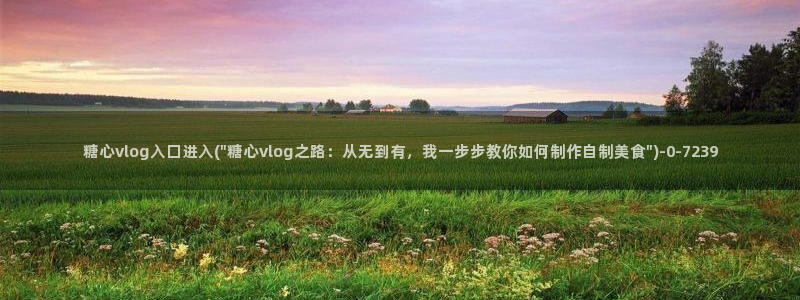 心糖vlog免费版
