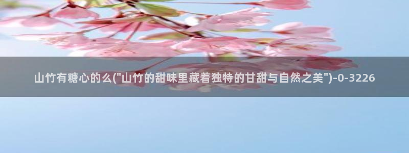糖心vlog御梦