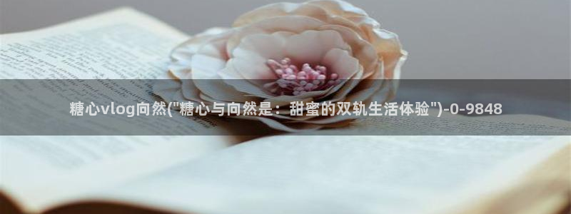 糖心vlog小妈