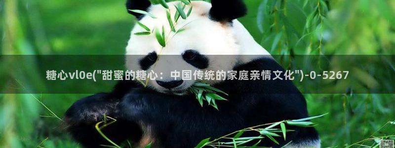 糖心vlog在线观看_糖心vlog小桃