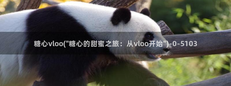 糖心vlog在线看