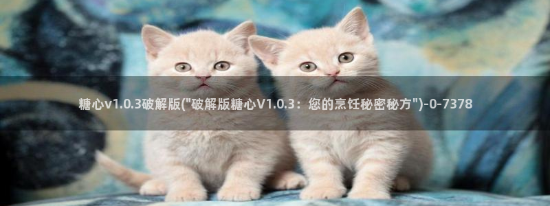 心糖vlog免费版在线观看免费