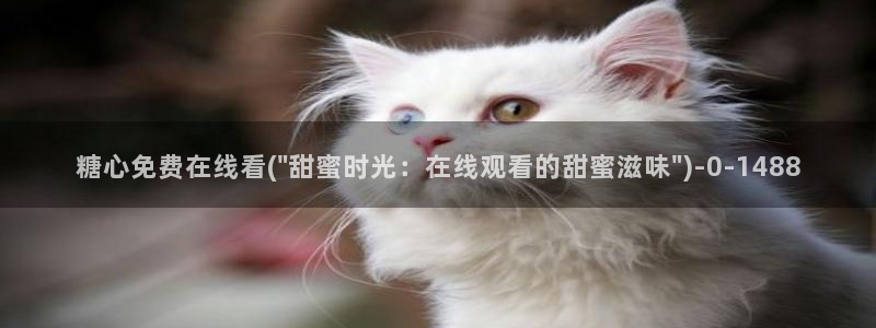 糖心vlog在线观看视频