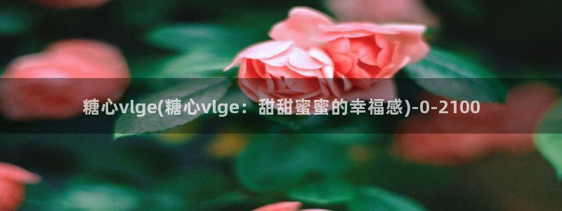 糖心vlog视频免费观看