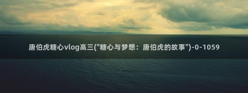 黑椒盖饭糖心vlog